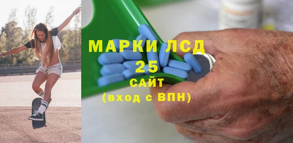 амф Новозыбков
