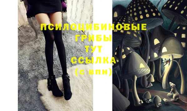 герыч Новодвинск