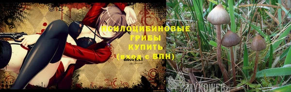 герыч Новодвинск